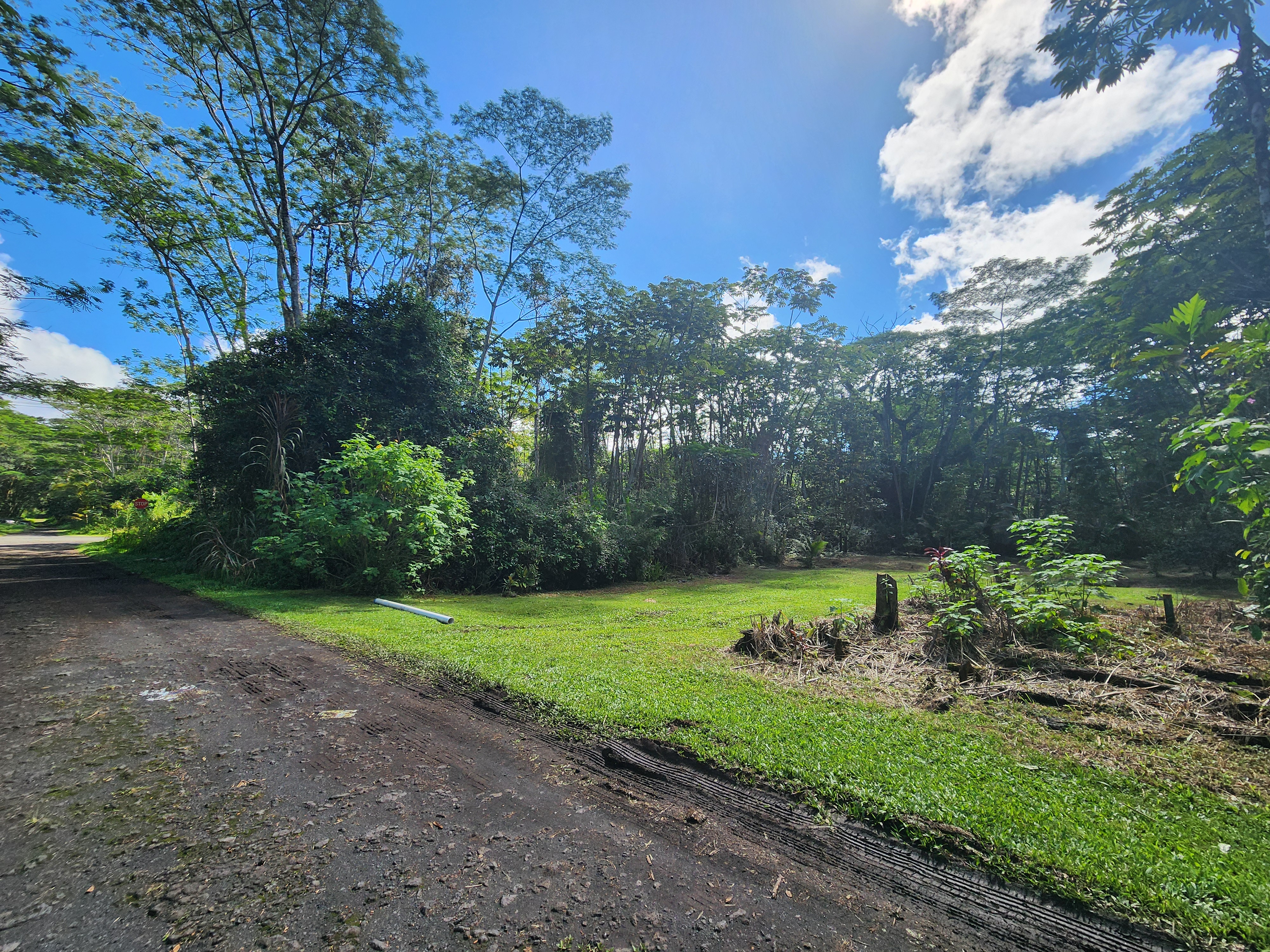 721 Hilo Road Pahoa, HI 96778 - Photo 7 of 12 Gallery Image 7