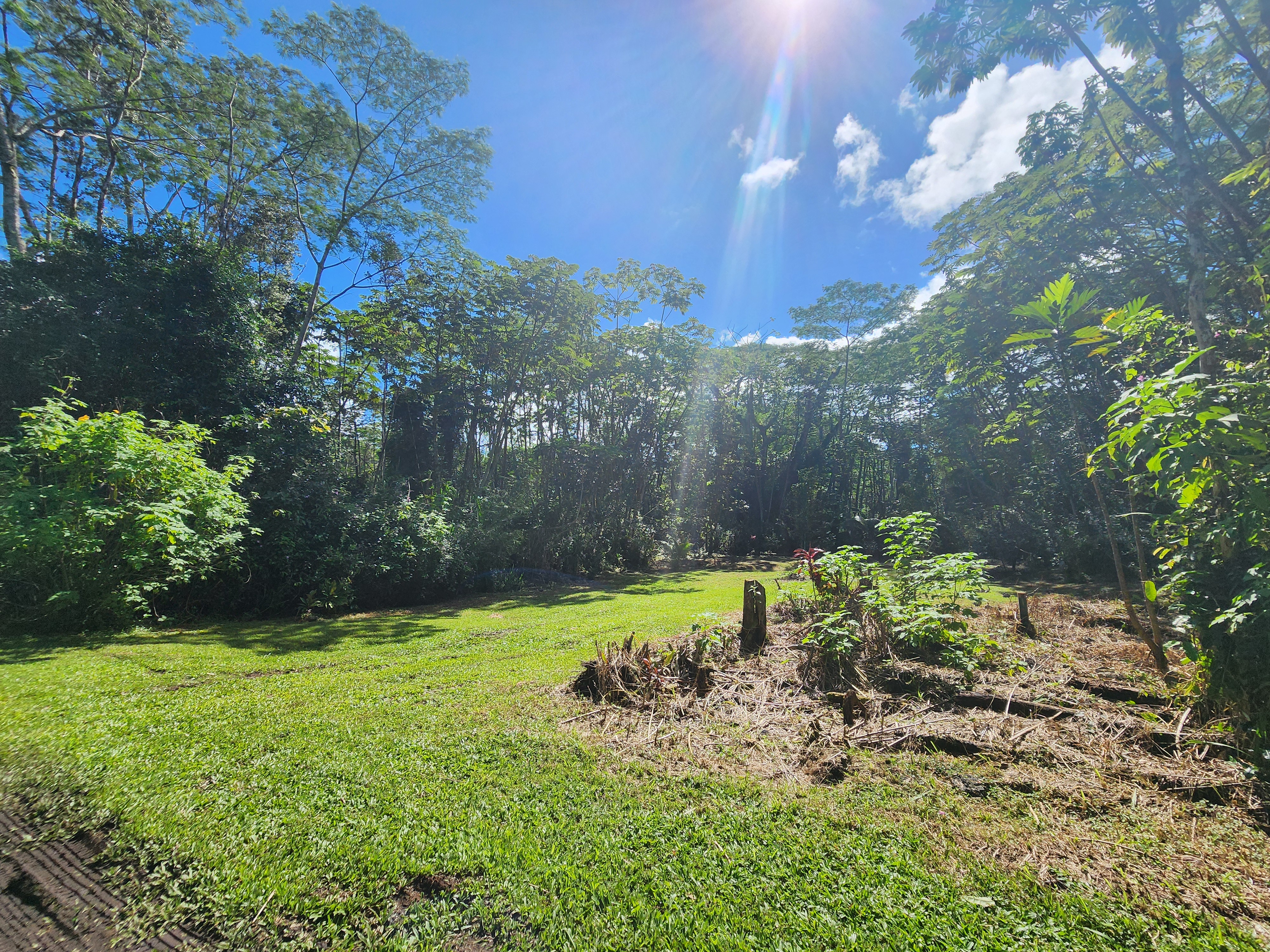 721 Hilo Road Pahoa, HI 96778 - Photo 8 of 12 Gallery Image 8