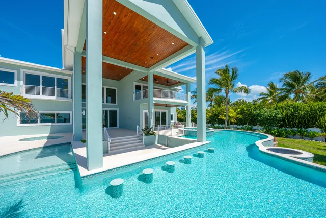 a view of a backyard with couches potted plants and palm tree