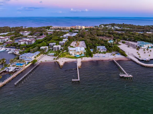 a view of a house with a yard potted plants