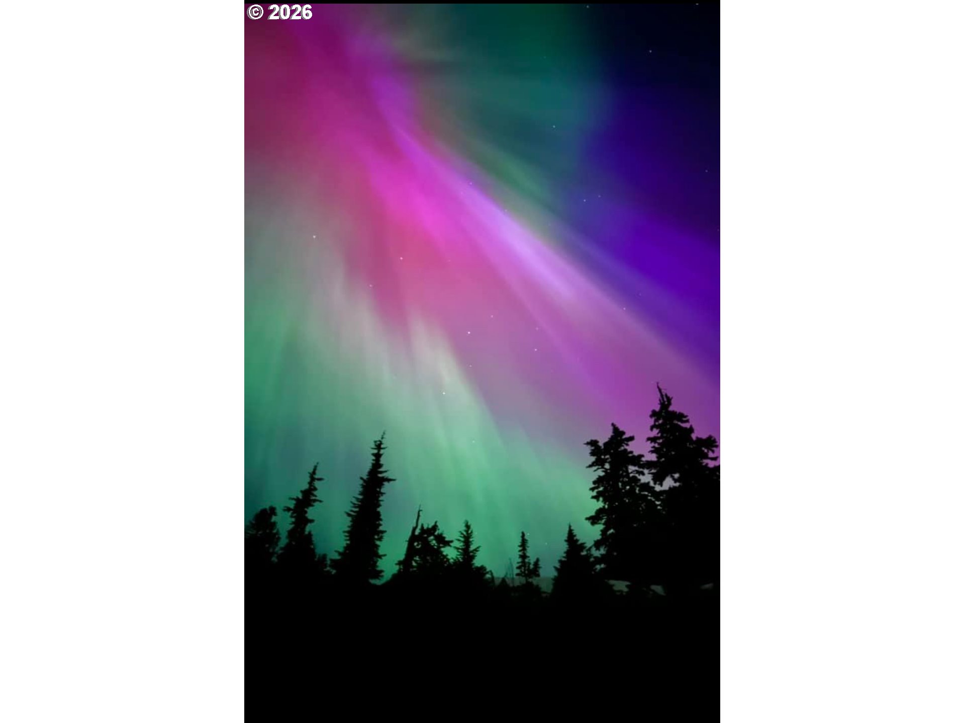 60989 Old Ski Run Road Joseph, OR 97846 - Photo 43 of 46