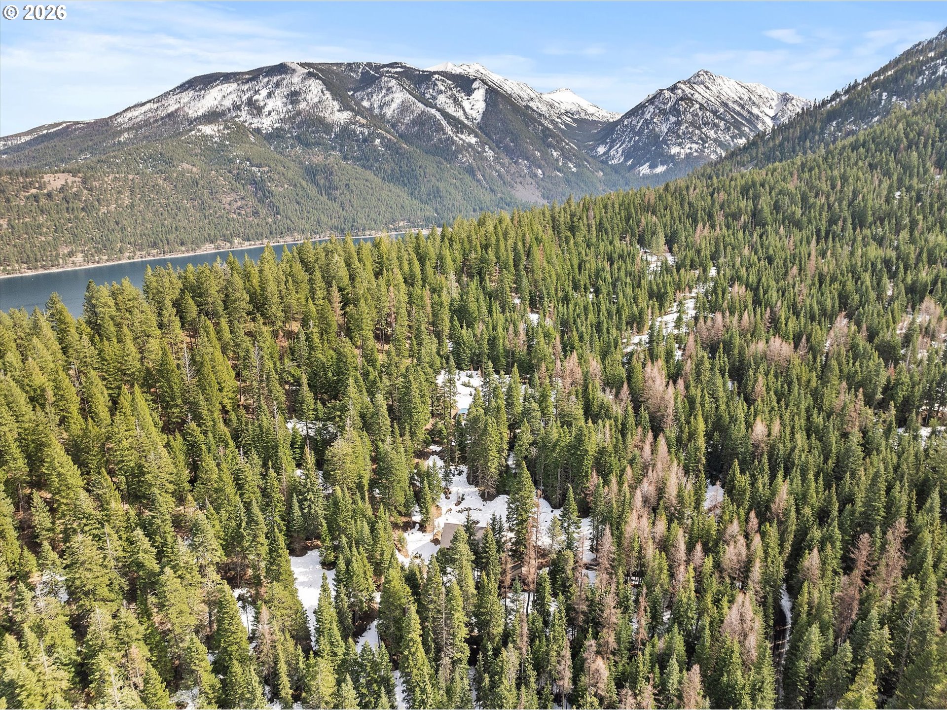 60989 Old Ski Run Road Joseph, OR 97846 - Photo 44 of 46 a view of a forest