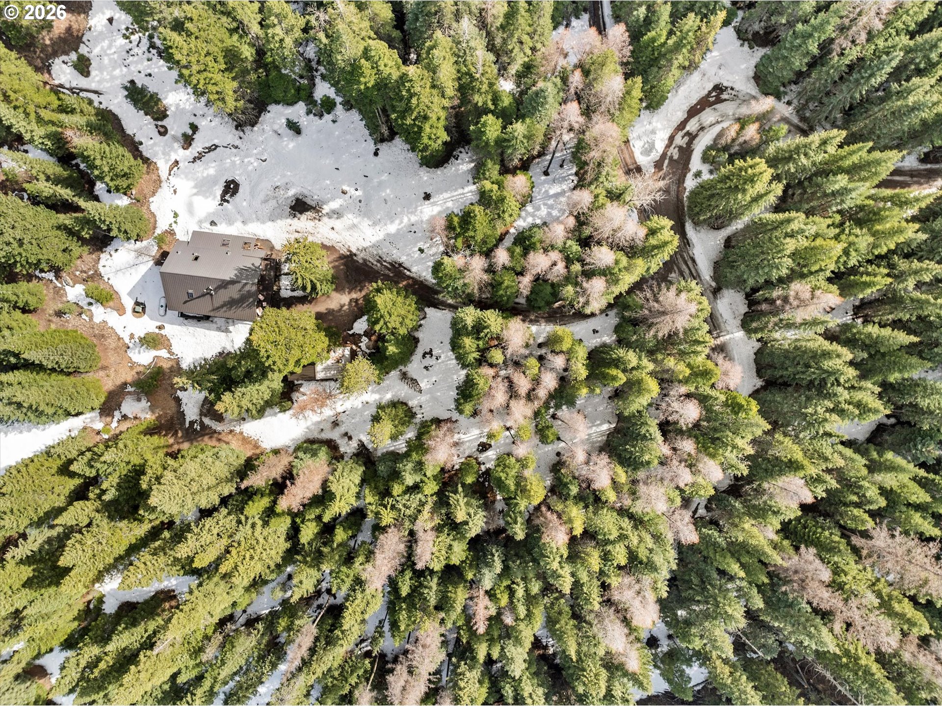 60989 Old Ski Run Road Joseph, OR 97846 - Photo 45 of 46 a picture of tree