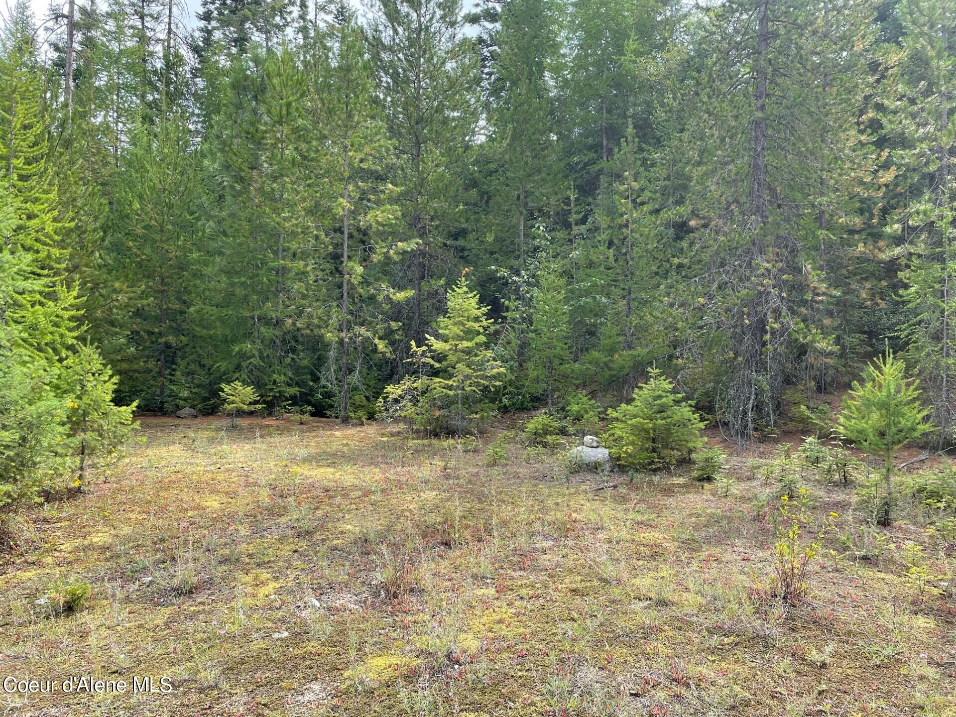 Nka 20-ac Schneiders Road Sagle, ID 83860 - Photo 12 of 49 Upper Build site 2