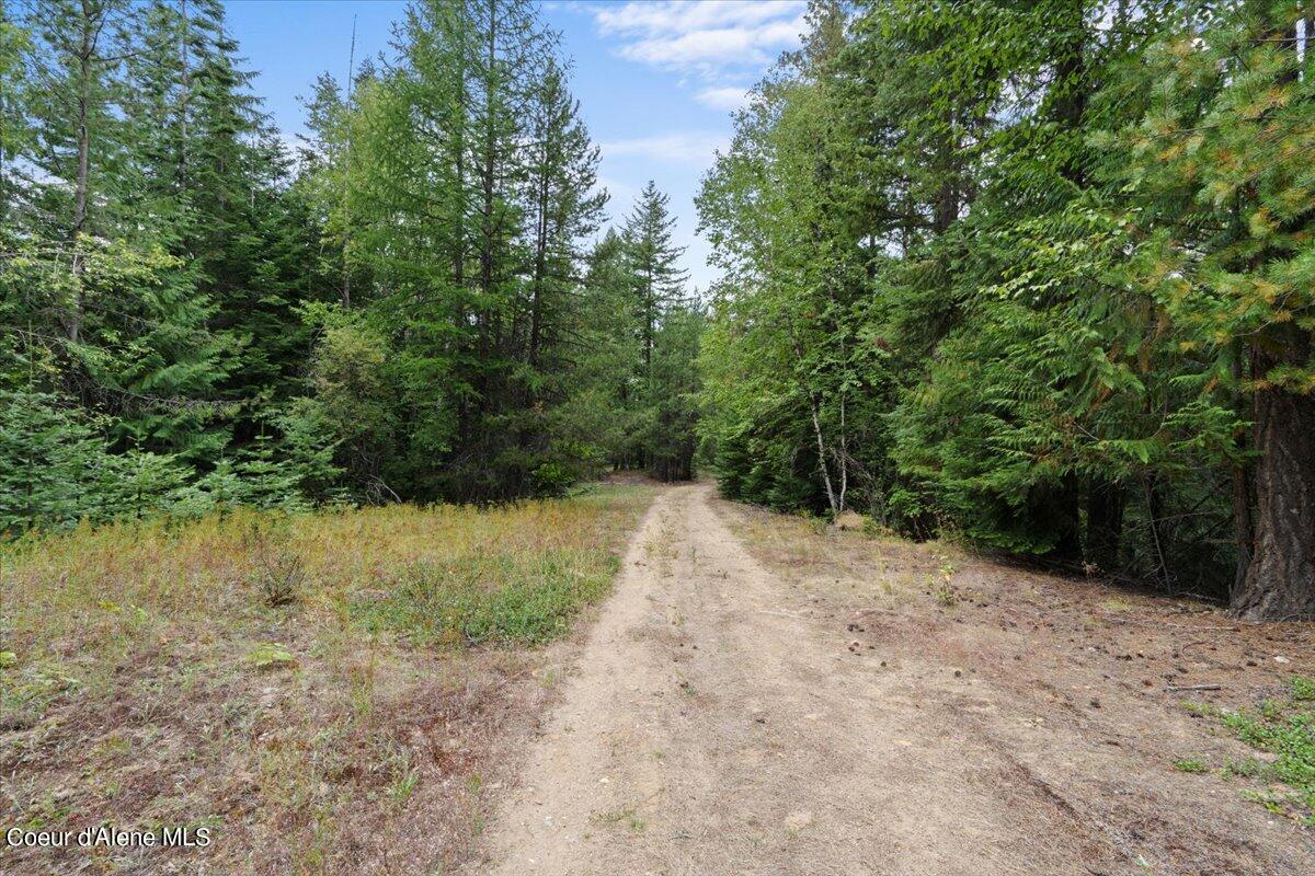 Nka 20-ac Schneiders Road Sagle, ID 83860 - Photo 14 of 49 03-Driveway