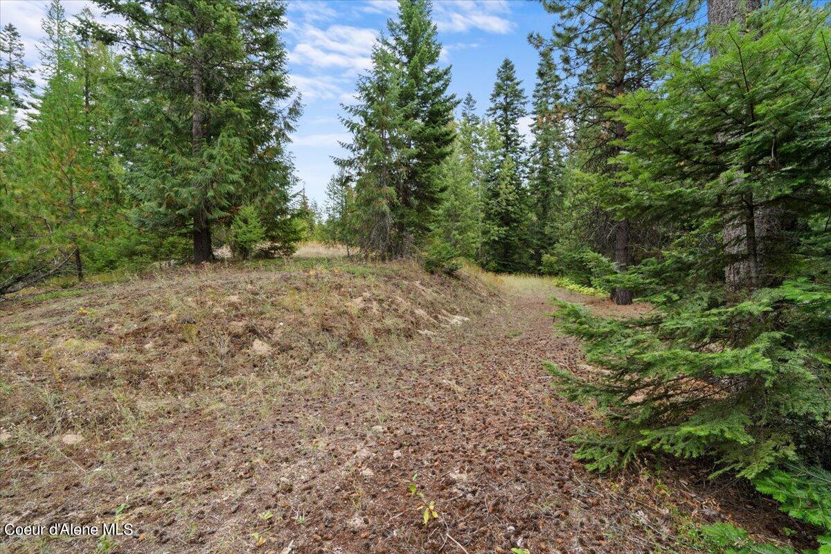 Nka 20-ac Schneiders Road Sagle, ID 83860 - Photo 18 of 49 12-Property