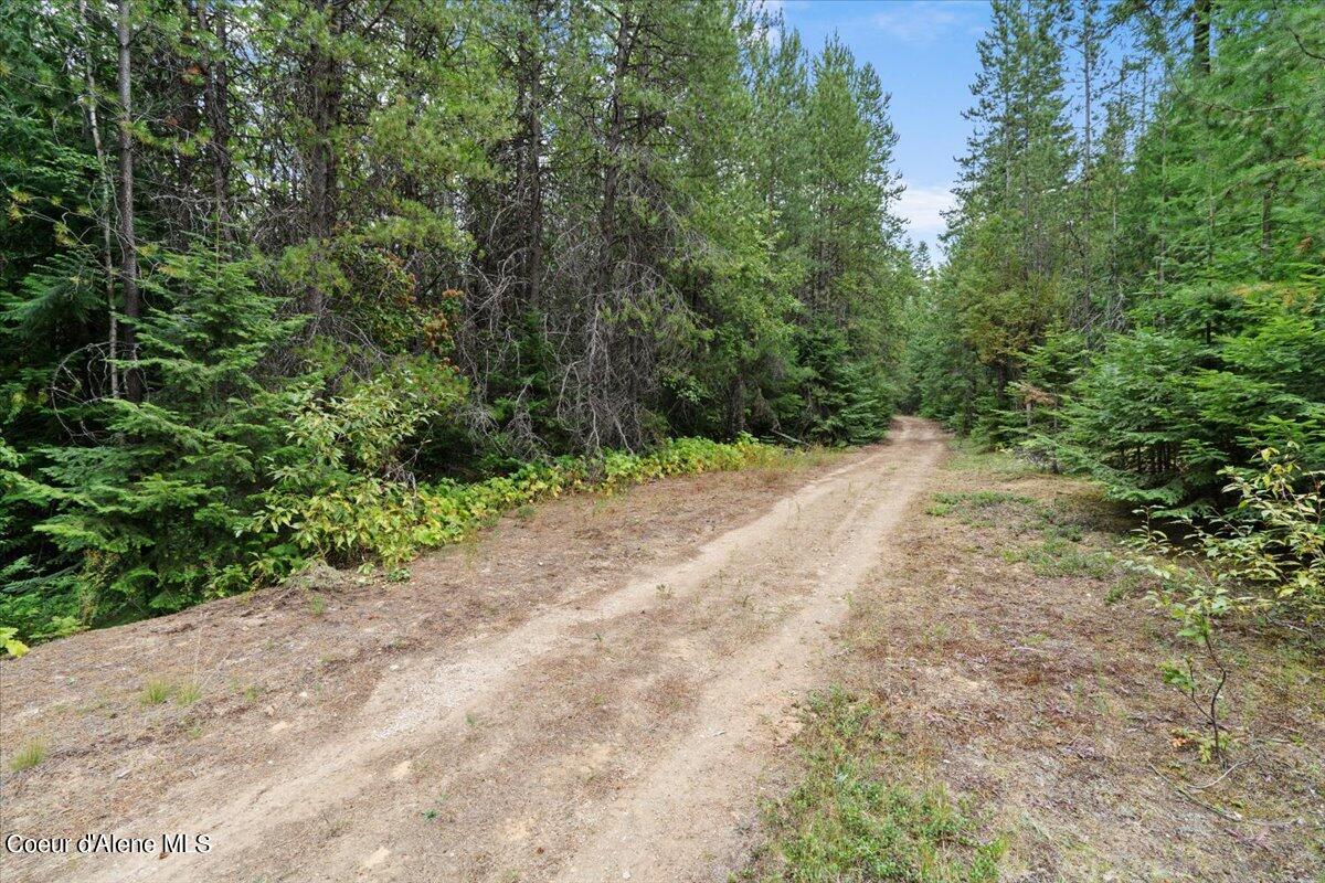 Nka 20-ac Schneiders Road Sagle, ID 83860 - Photo 20 of 49 04-Driveway
