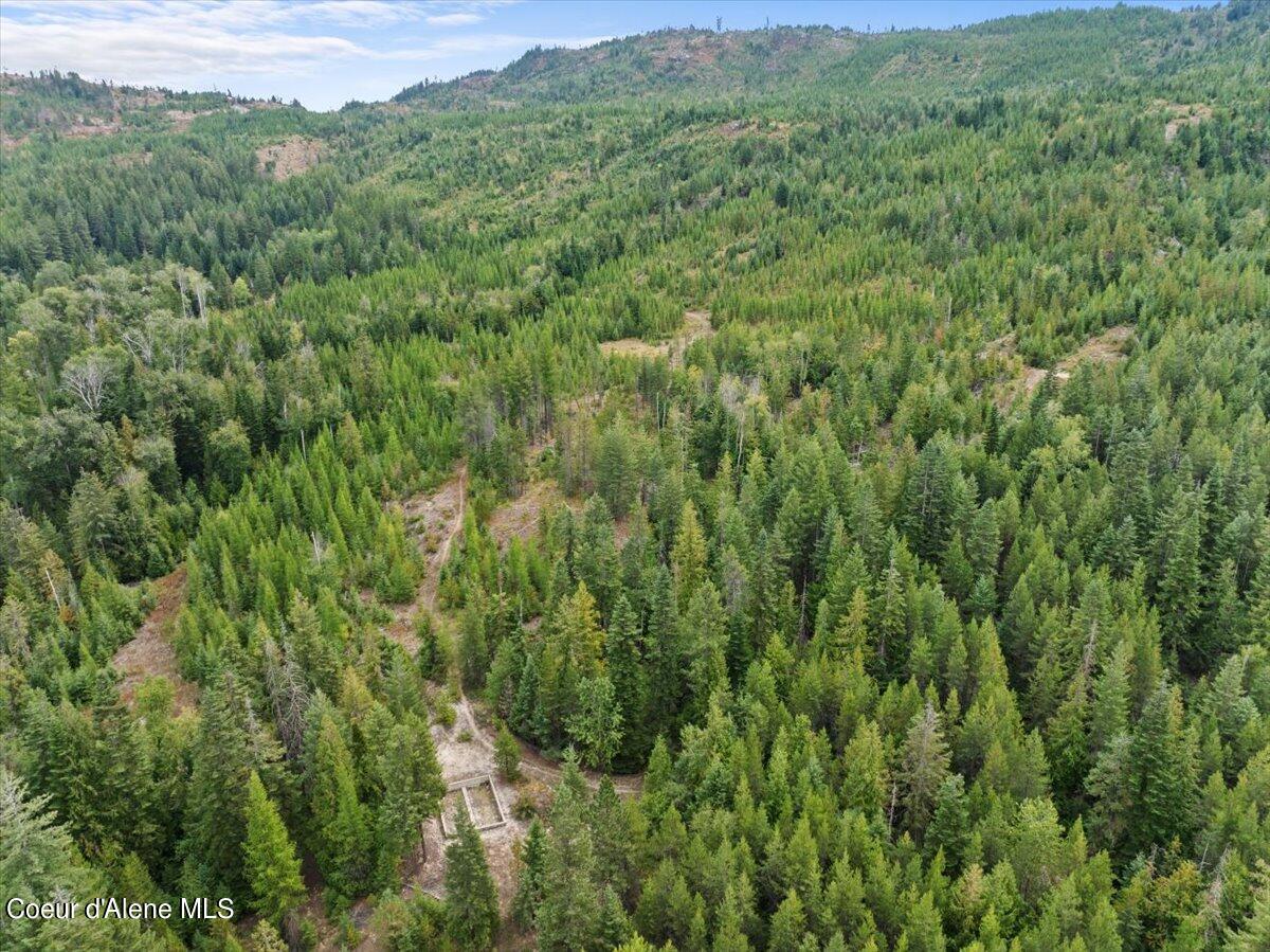 Nka 20-ac Schneiders Road Sagle, ID 83860 - Photo 24 of 49 18-Aerial property