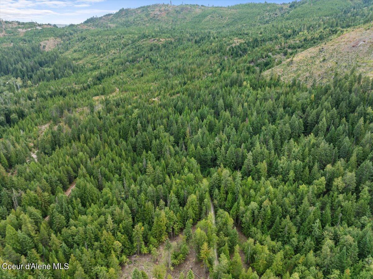 Nka 20-ac Schneiders Road Sagle, ID 83860 - Photo 30 of 49 24-Aerial property