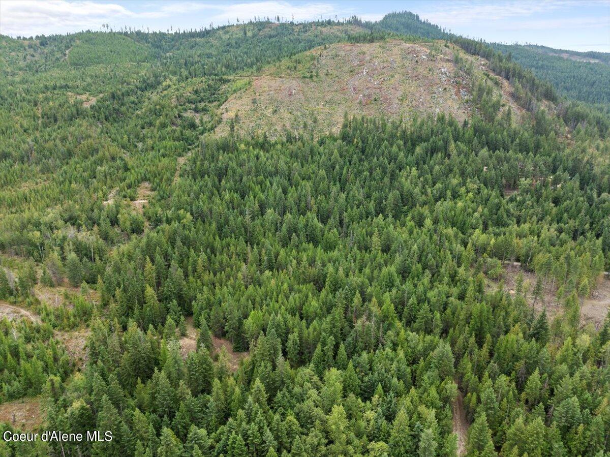 Nka 20-ac Schneiders Road Sagle, ID 83860 - Photo 32 of 49 26-Aerial property