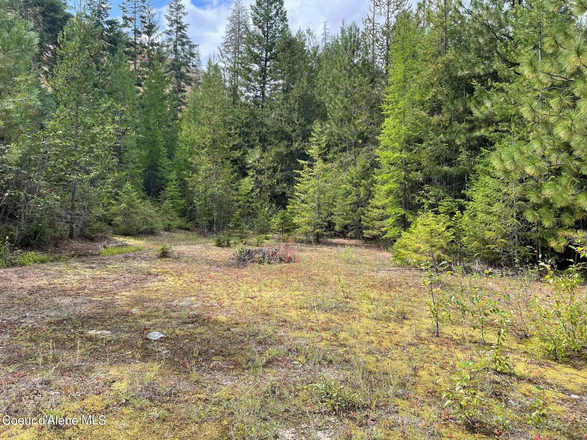 Nka 20-ac Schneiders Road Sagle, ID 83860 - Photo 10 of 49 Upper Build site 1