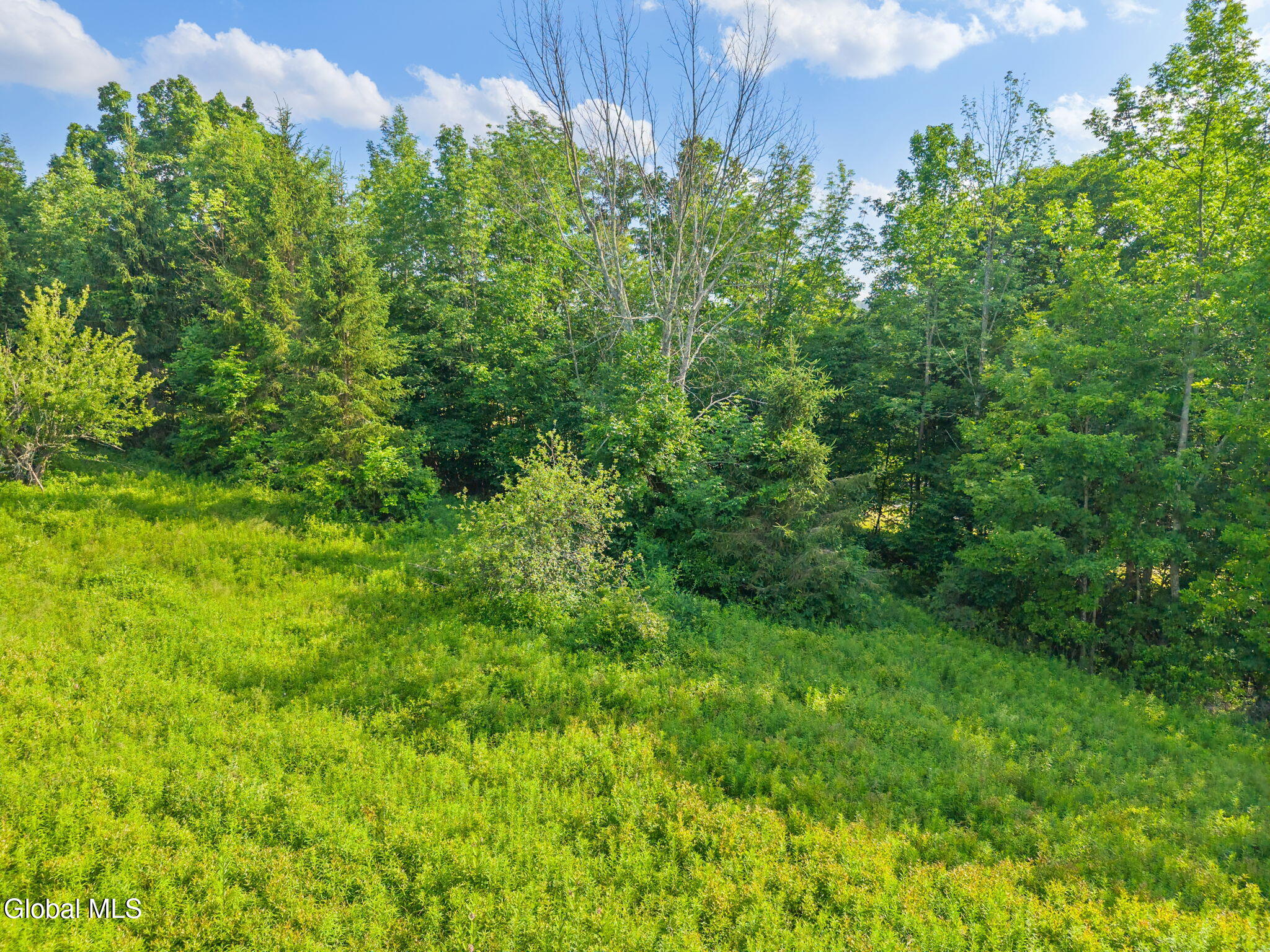 L6 Guinea Road Middleburgh, NY 12122 - Photo 7 of 10 67-1008GuineaRd_67