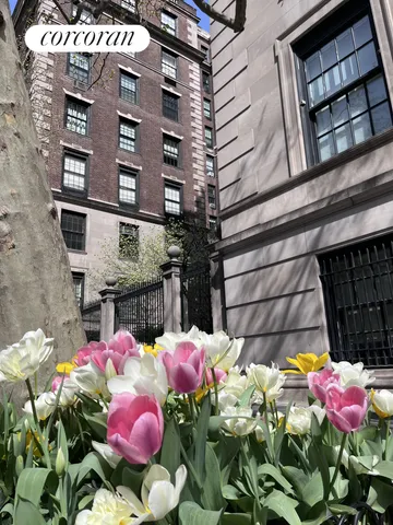 a view of a flower in a yard