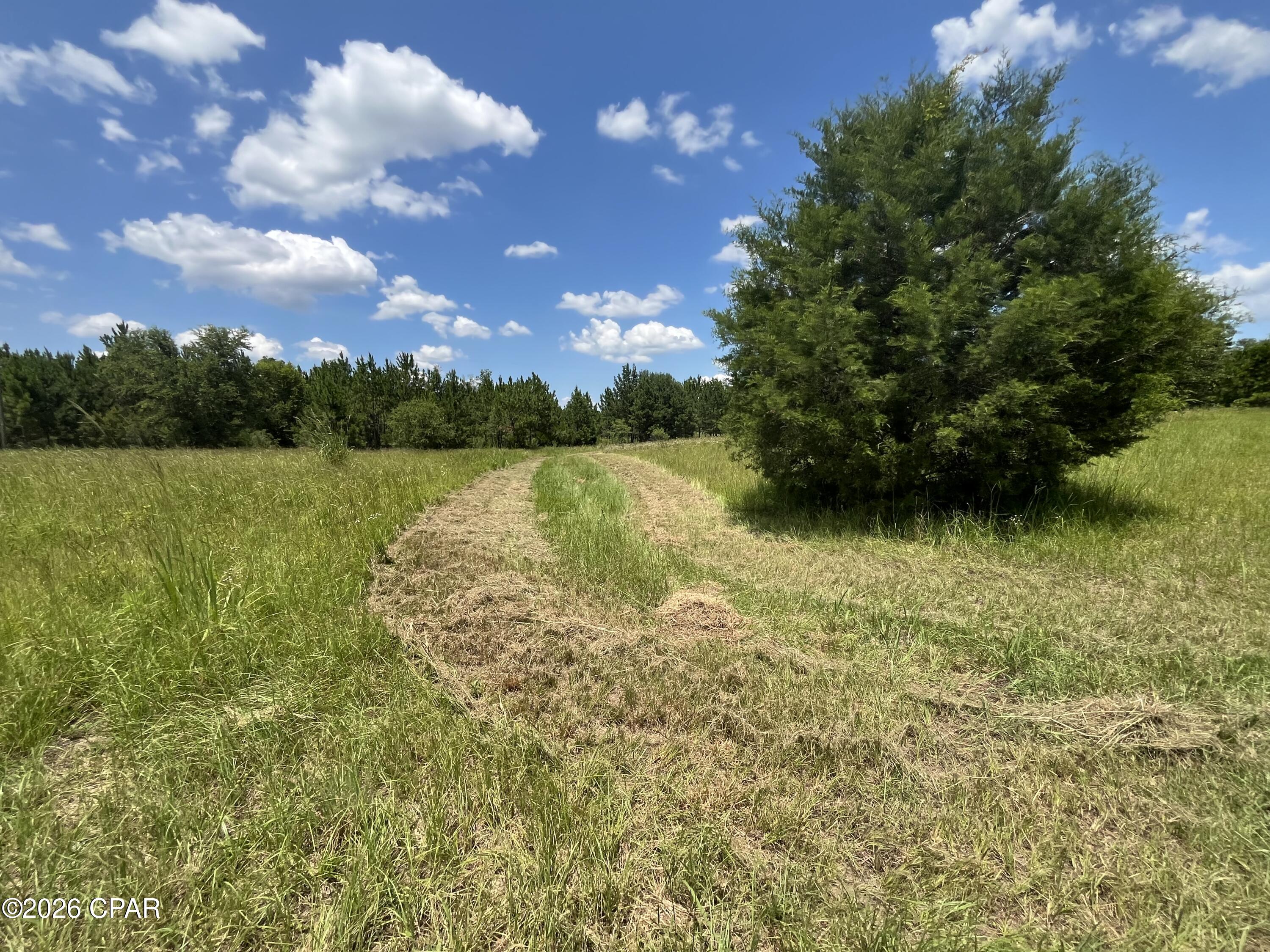 0 Gotcha Road Marianna, FL 32448 - Photo 14 of 19