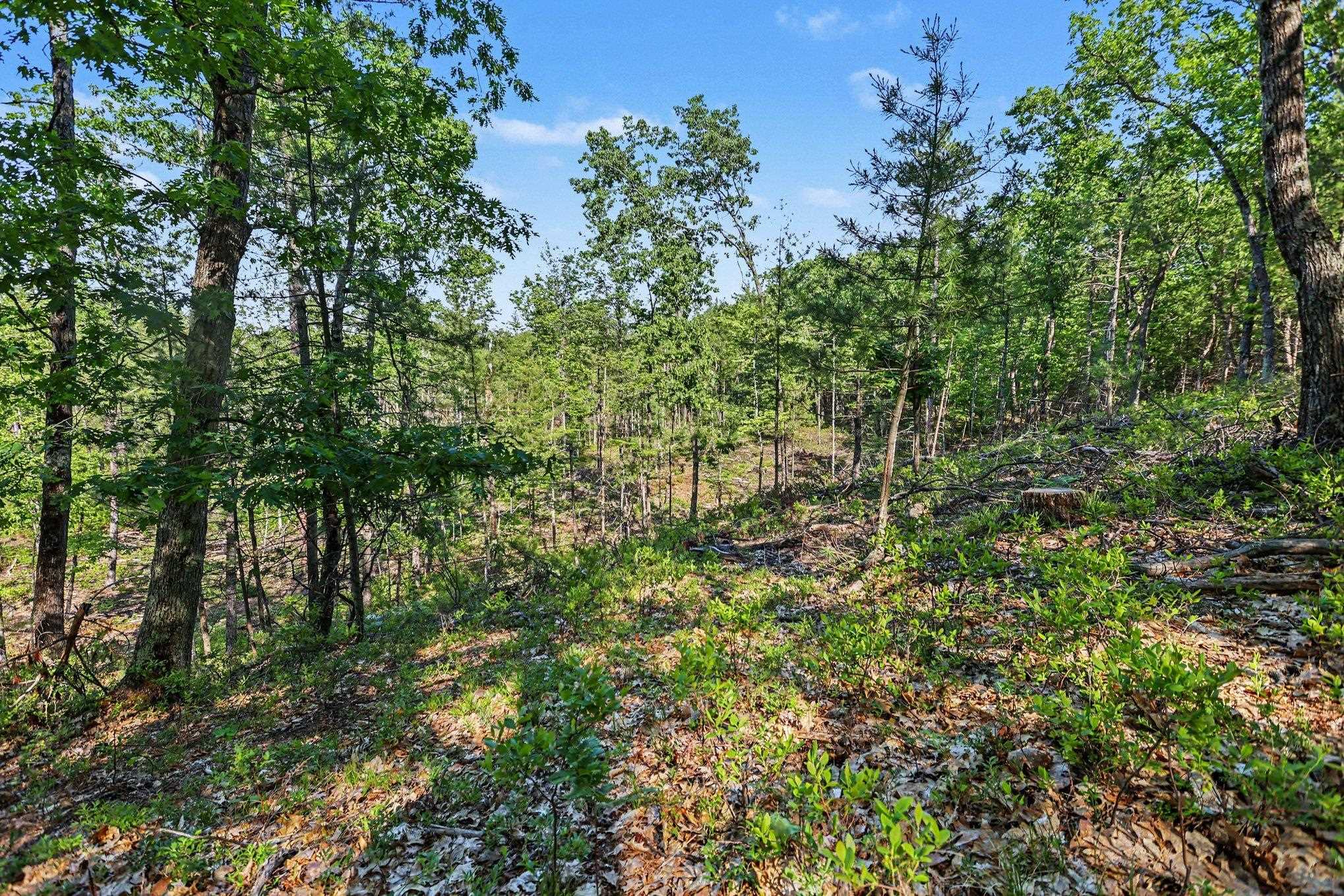 0 Fairview Road West Branch, MI 48661 - Photo 17 of 23