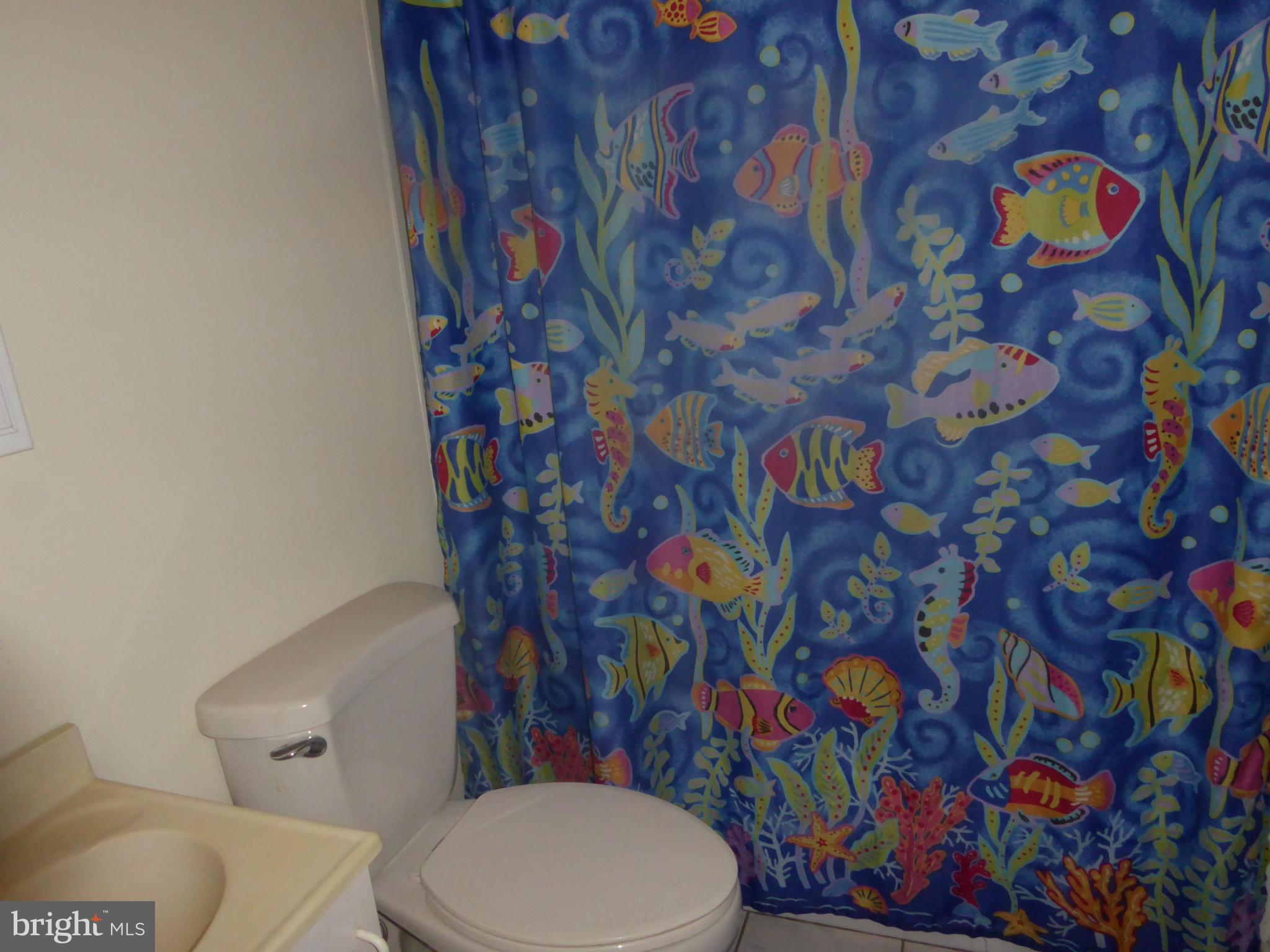 7732 Emerson Road Hyattsville, MD 20784 - Photo 8 of 14 Bath