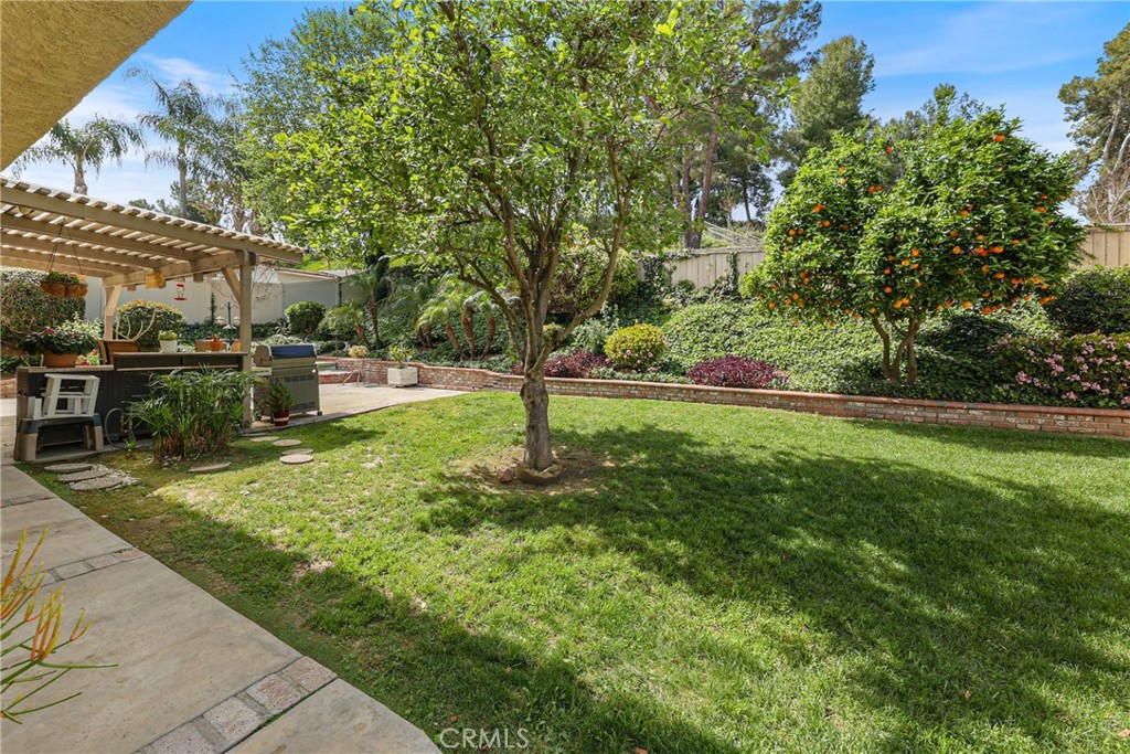3684 Hillsdale Ranch Road Chino Hills, CA 91709 - Photo 28 of 31 Backyard with Orange, Apple, and Peach trees