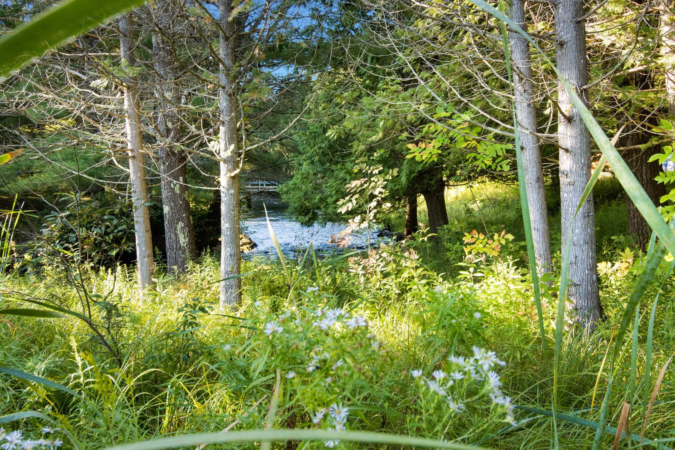 15172 Clark's Mill Road Interlochen, MI 49643 - Photo 55 of 69 1950615-5e6b2b60-01b1-48be-b54a-f14a763cda59.JPG