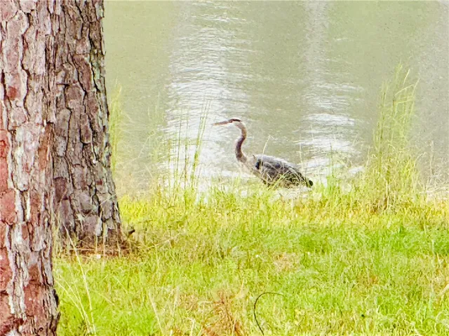 $675,000 | 171 Kirkland Drive, McCormick, SC 29835