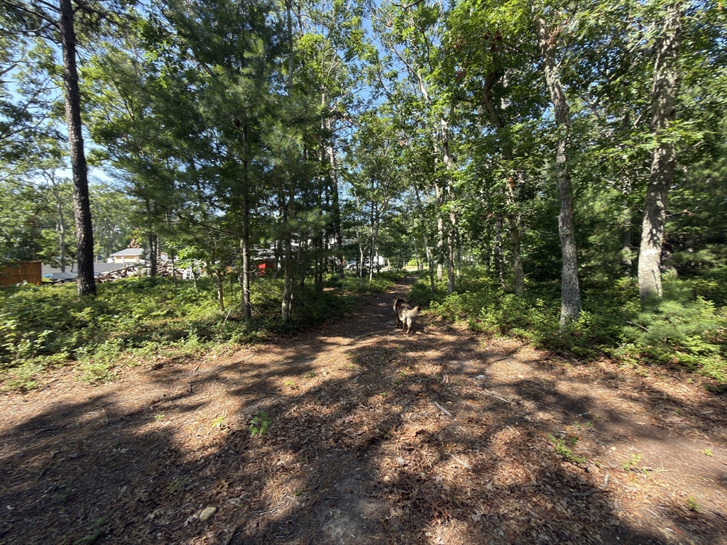 202 Ashumet Road Falmouth, MA 02536 - Photo 11 of 28 Gallery Image 11