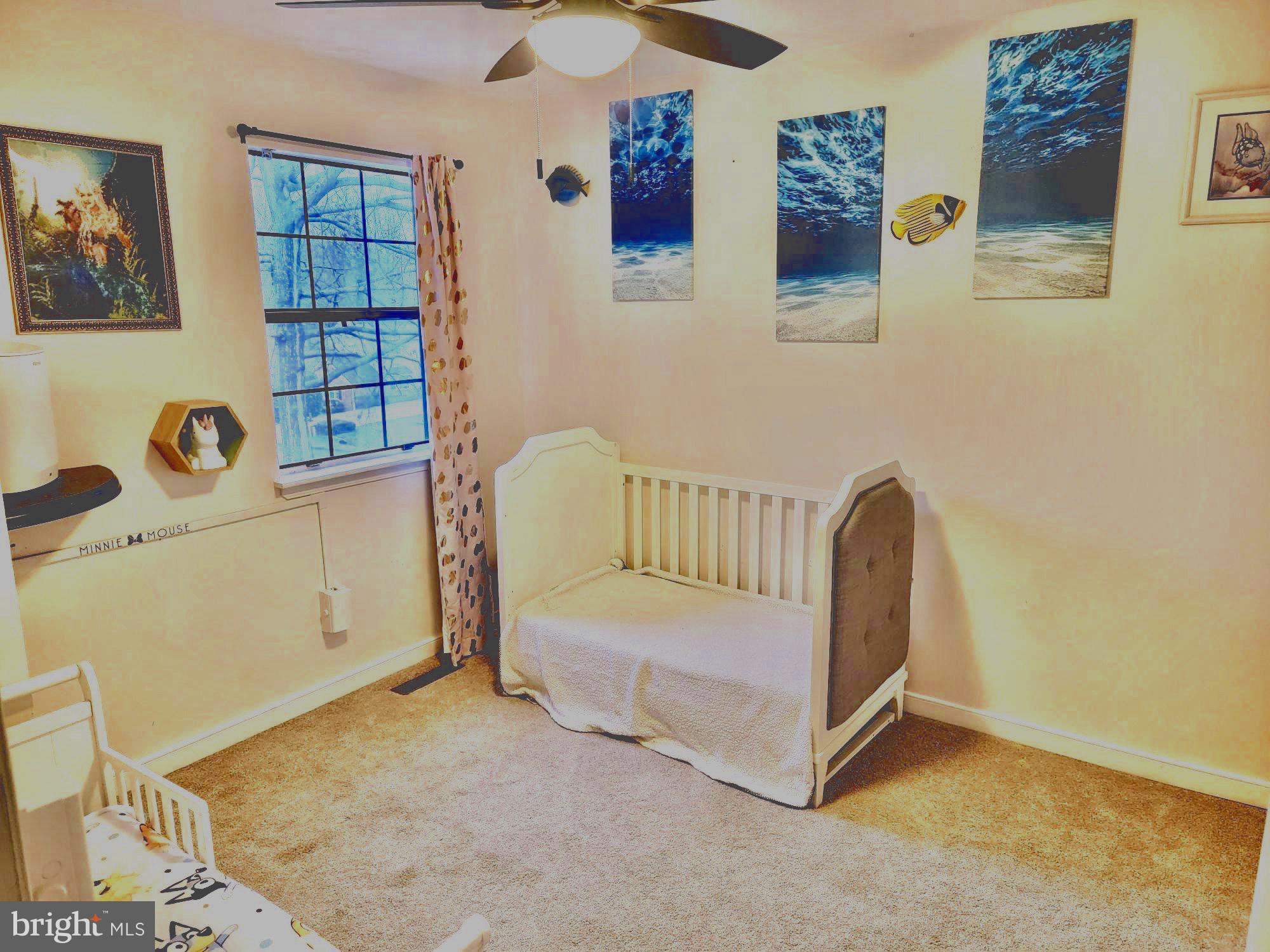 163 Choptank Road Stafford, VA 22556 - Photo 3 of 30 Ceiling fans everywhere!