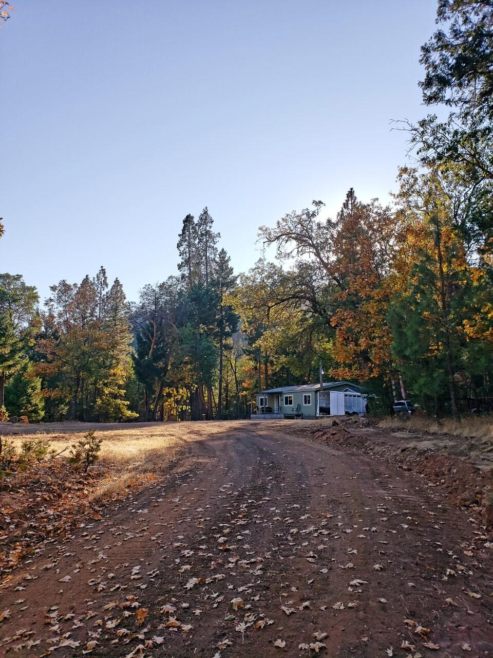 7745 Beagle Road White City, OR 97503 - Photo 12 of 49 Pic10