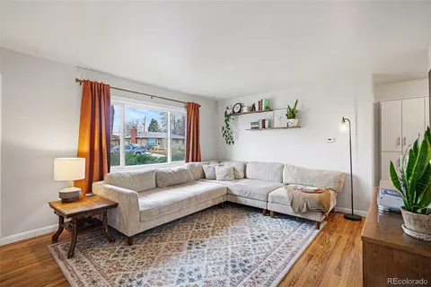 a living room with furniture and a potted plant