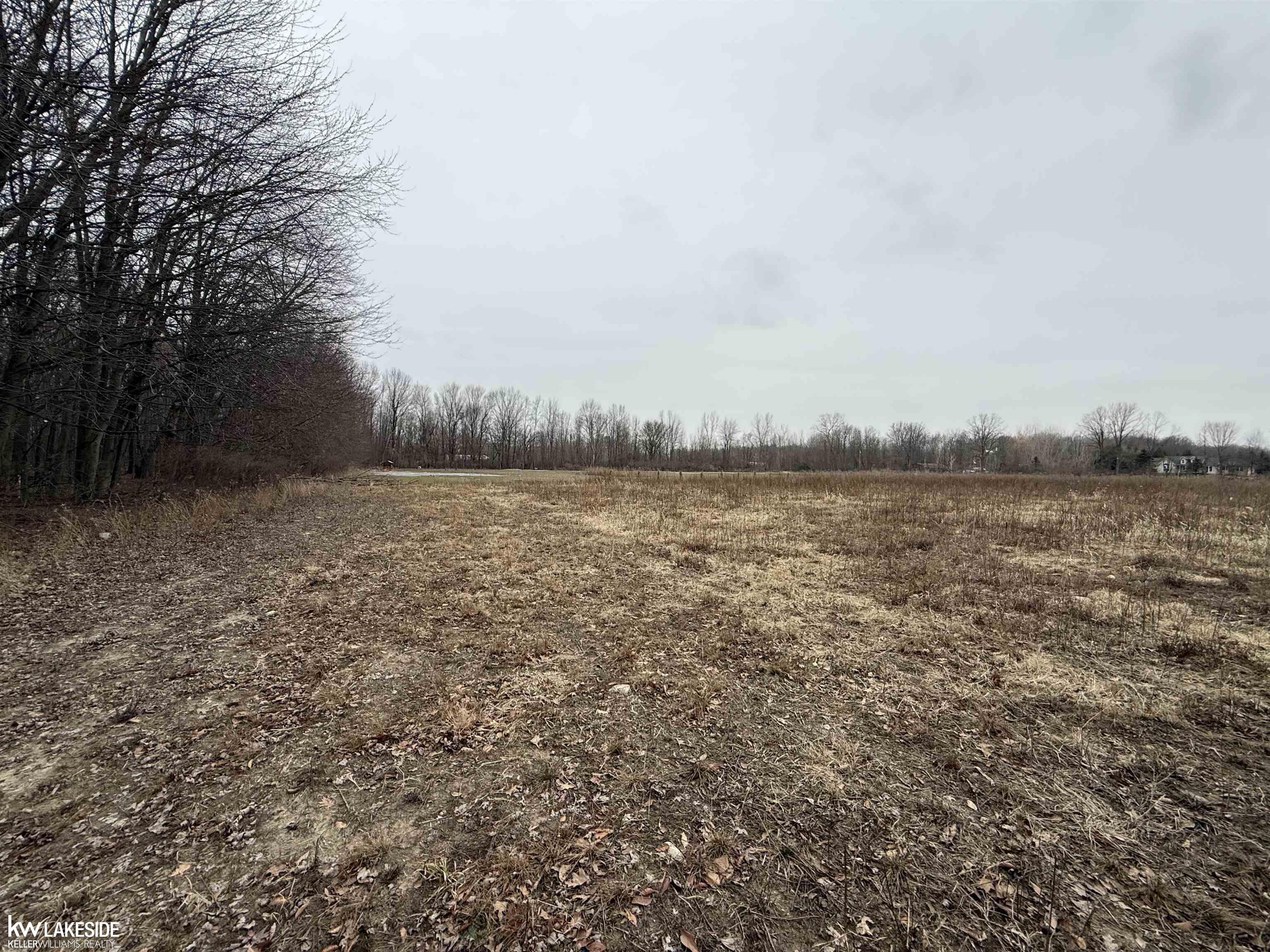 0 Cove Road Goodells, MI 48027 - Photo 12 of 25