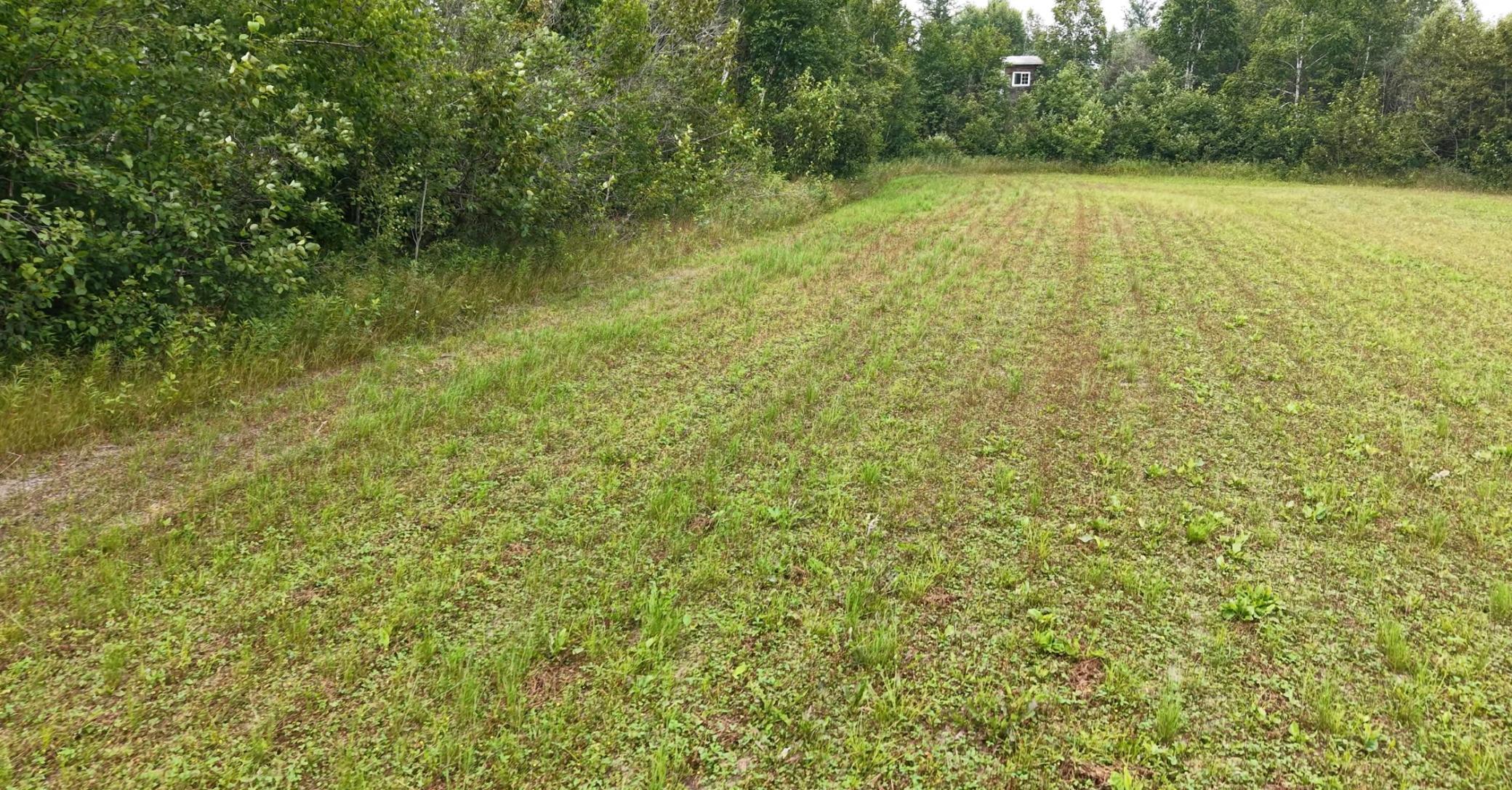 Tbd Tangnes Forest Road Warroad, MN 56763 - Photo 20 of 30