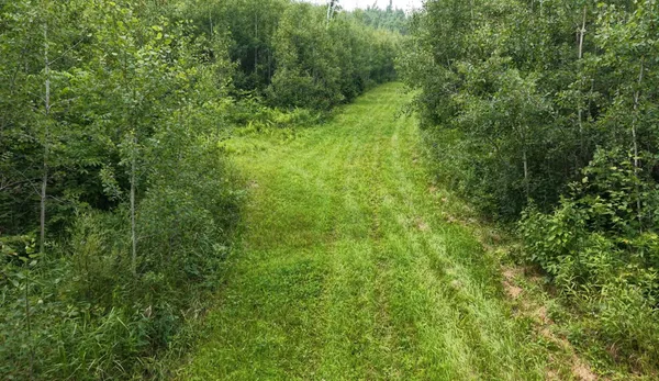 $325,000 | Tbd Tangnes Forest Road, Warroad, MN 56763