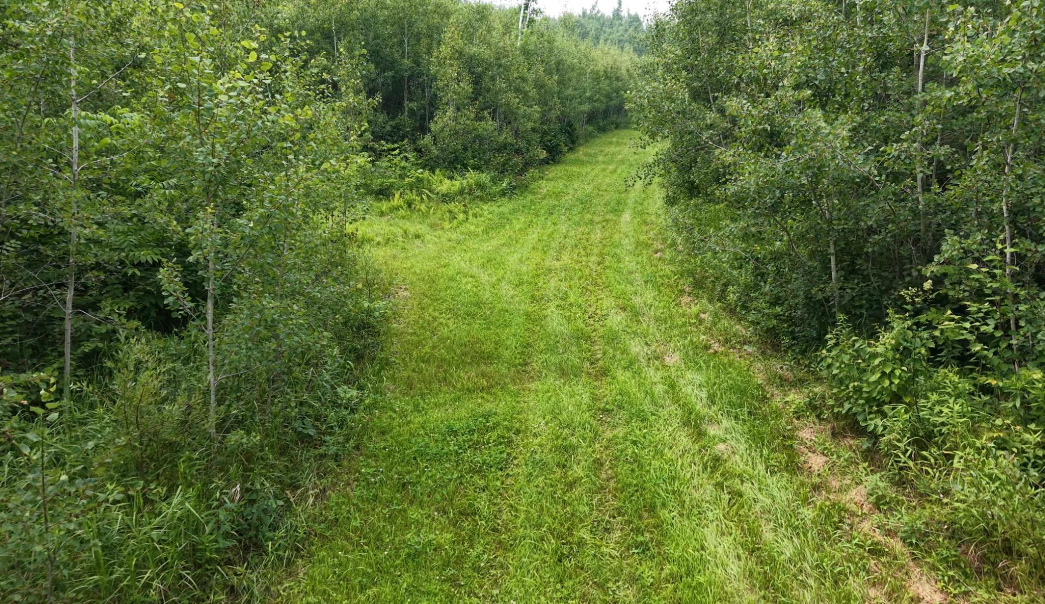 Tbd Tangnes Forest Road Warroad, MN 56763 - Photo 21 of 30