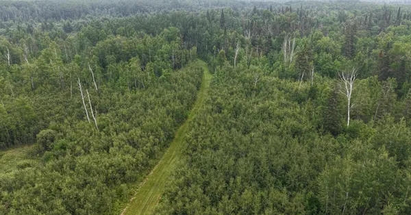 $325,000 | Tbd Tangnes Forest Road, Warroad, MN 56763