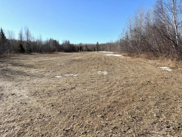 $325,000 | Tbd Tangnes Forest Road, Warroad, MN 56763