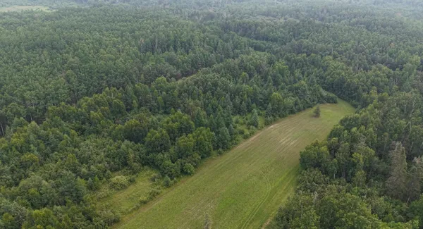 $325,000 | Tbd Tangnes Forest Road, Warroad, MN 56763