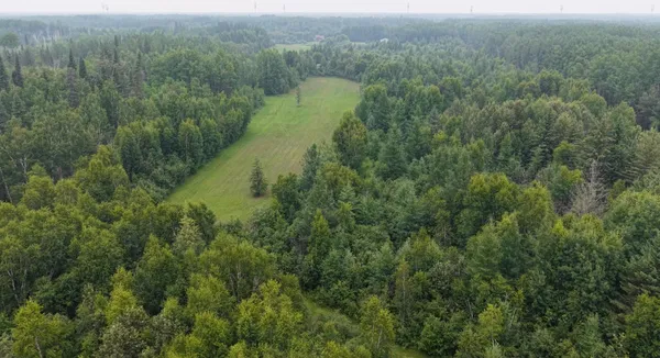 $325,000 | Tbd Tangnes Forest Road, Warroad, MN 56763