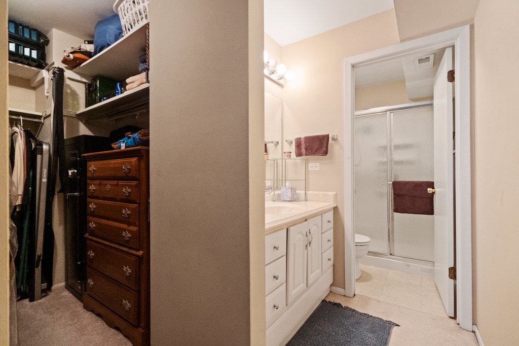 918 East Kings Row, Unit 1 Palatine, IL 60074 - Photo 28 of 36 a view of walk in closet