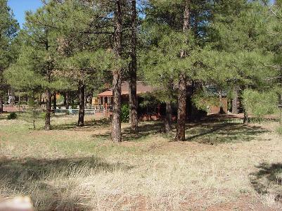 9 Frontage Road Parks, AZ 86018 - Photo 3 of 5 Additional Photo