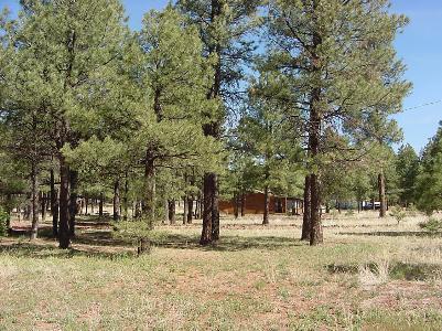 9 Frontage Road Parks, AZ 86018 - Photo 5 of 5 Additional Photo