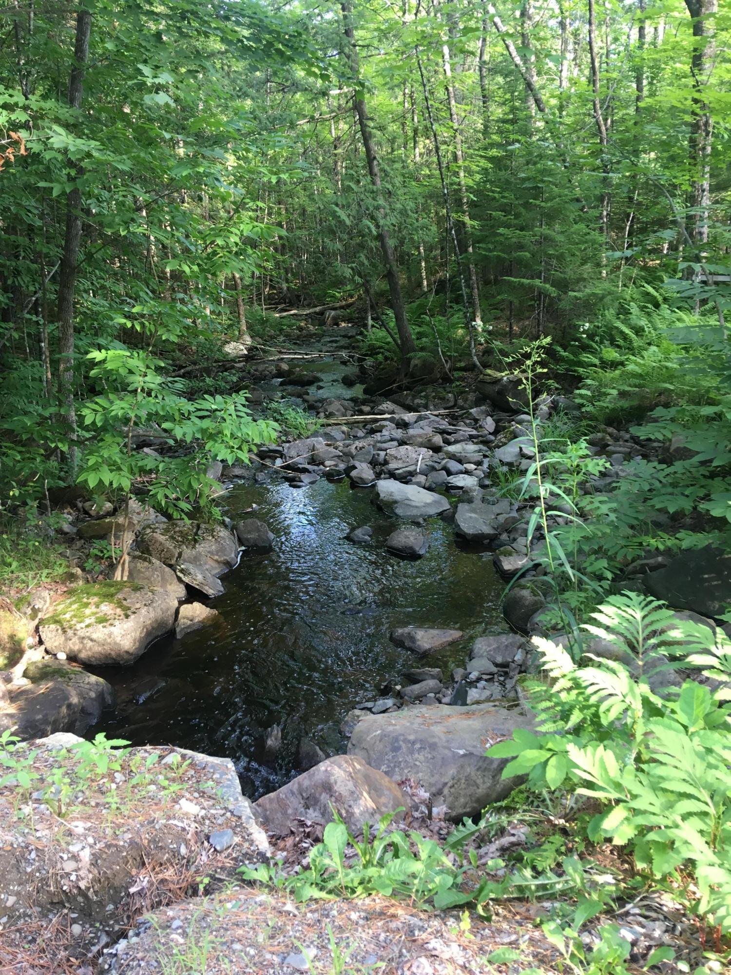 35 Leeman Road Abbot, ME 04406 - Photo 40 of 52 Brook