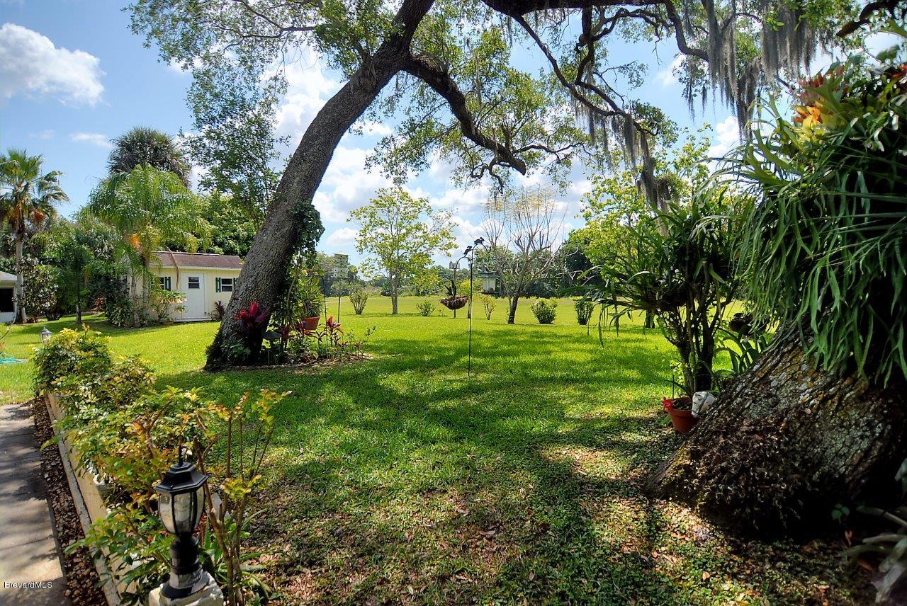 1180 Meadowbrook Road Northeast Palm Bay, FL 32905 - Photo 13 of 14 back east.jpg