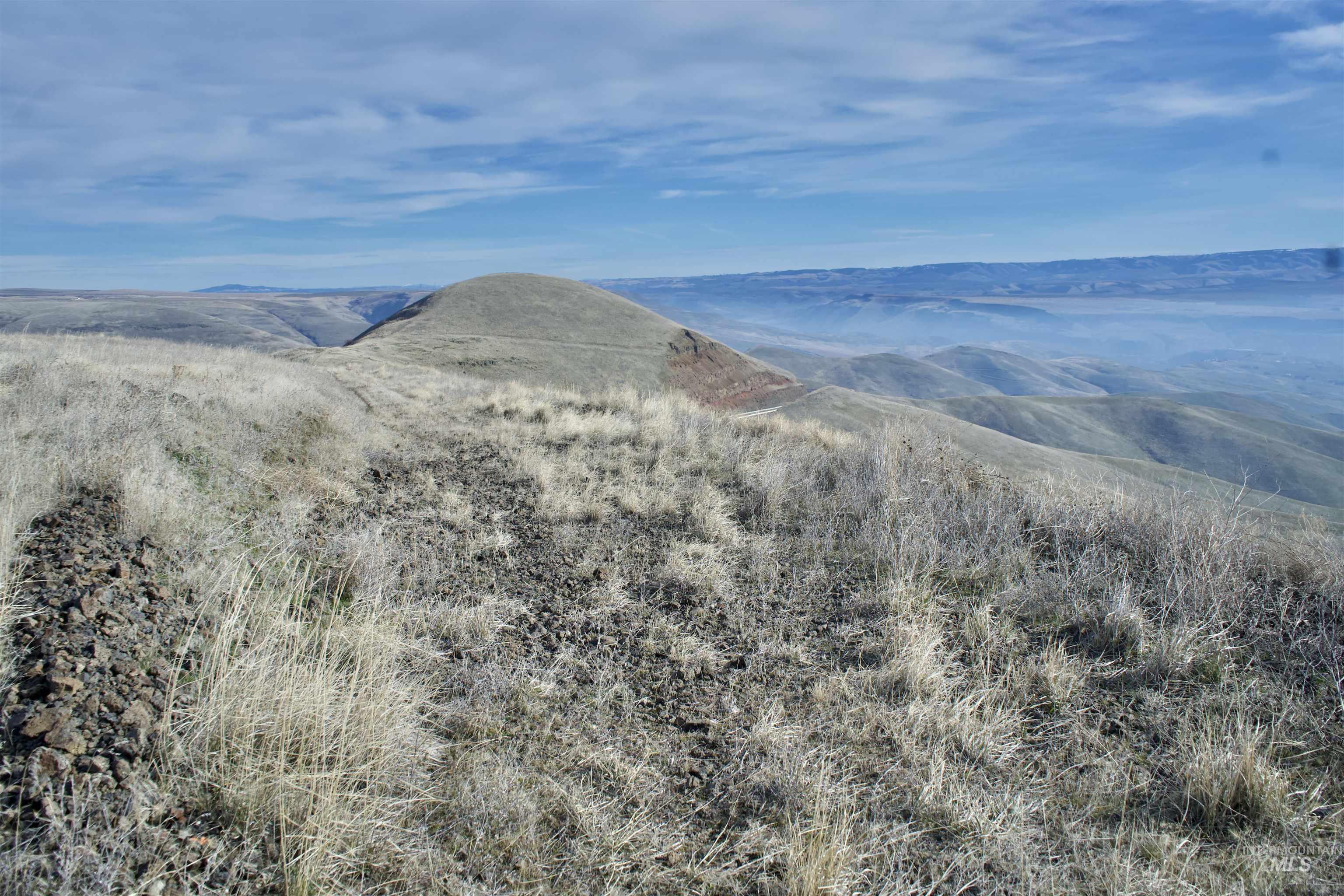 Tbd Spur Road Lewiston, ID 83501 - Photo 13 of 26 View of mountain background