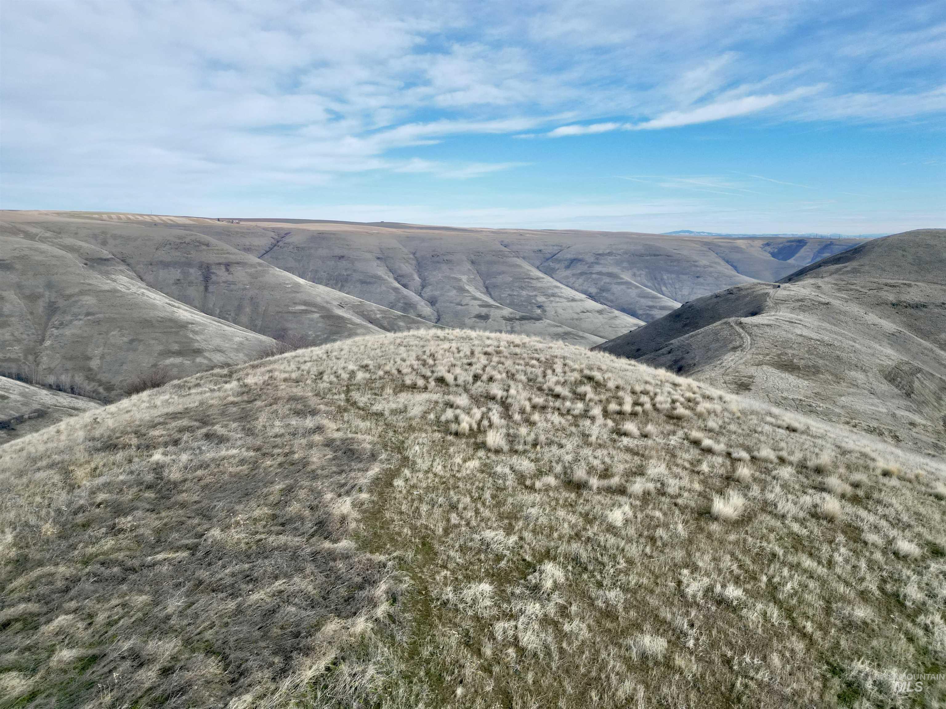 Tbd Spur Road Lewiston, ID 83501 - Photo 23 of 26 View of mountain background