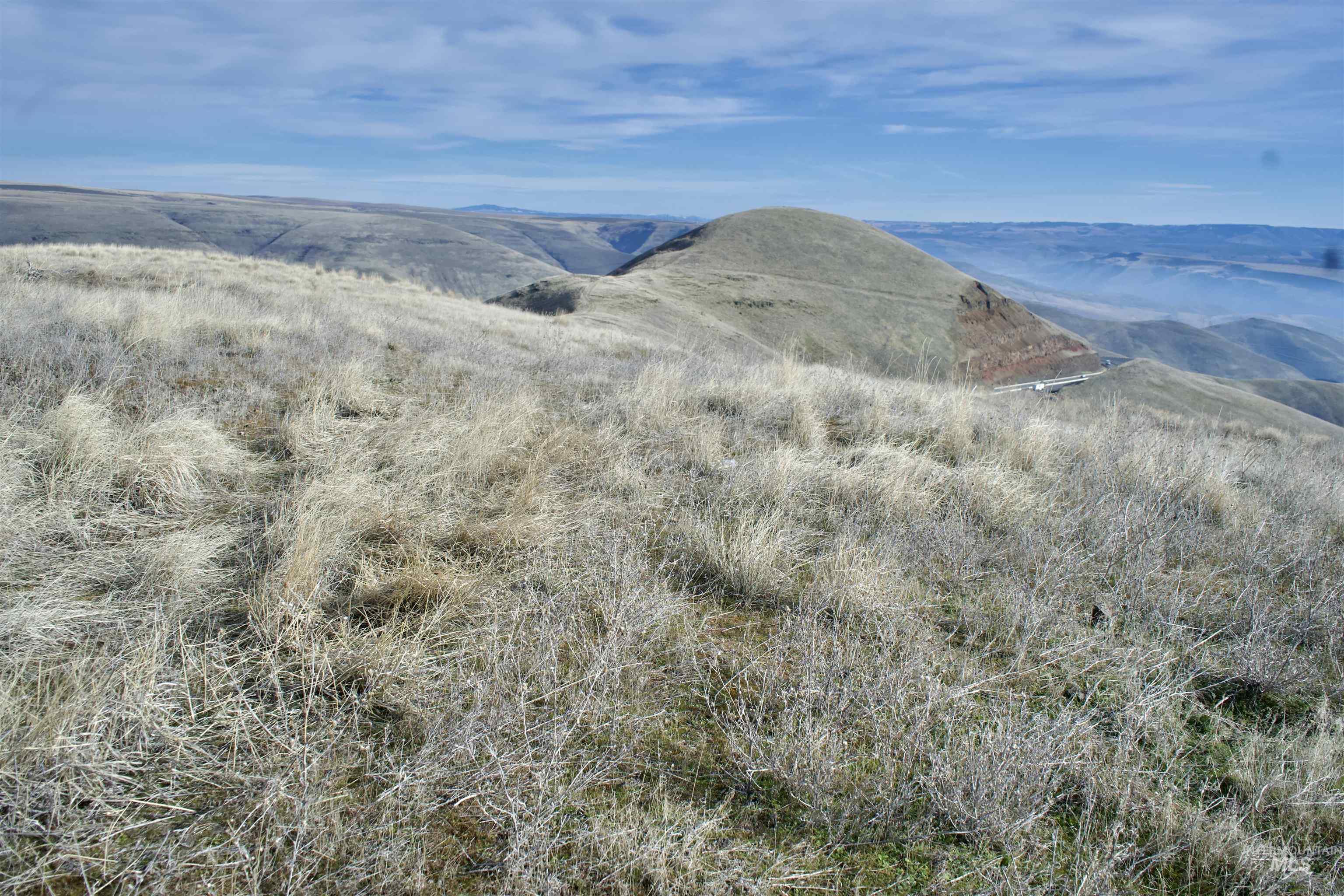 Tbd Spur Road Lewiston, ID 83501 - Photo 8 of 26 View of mountain background