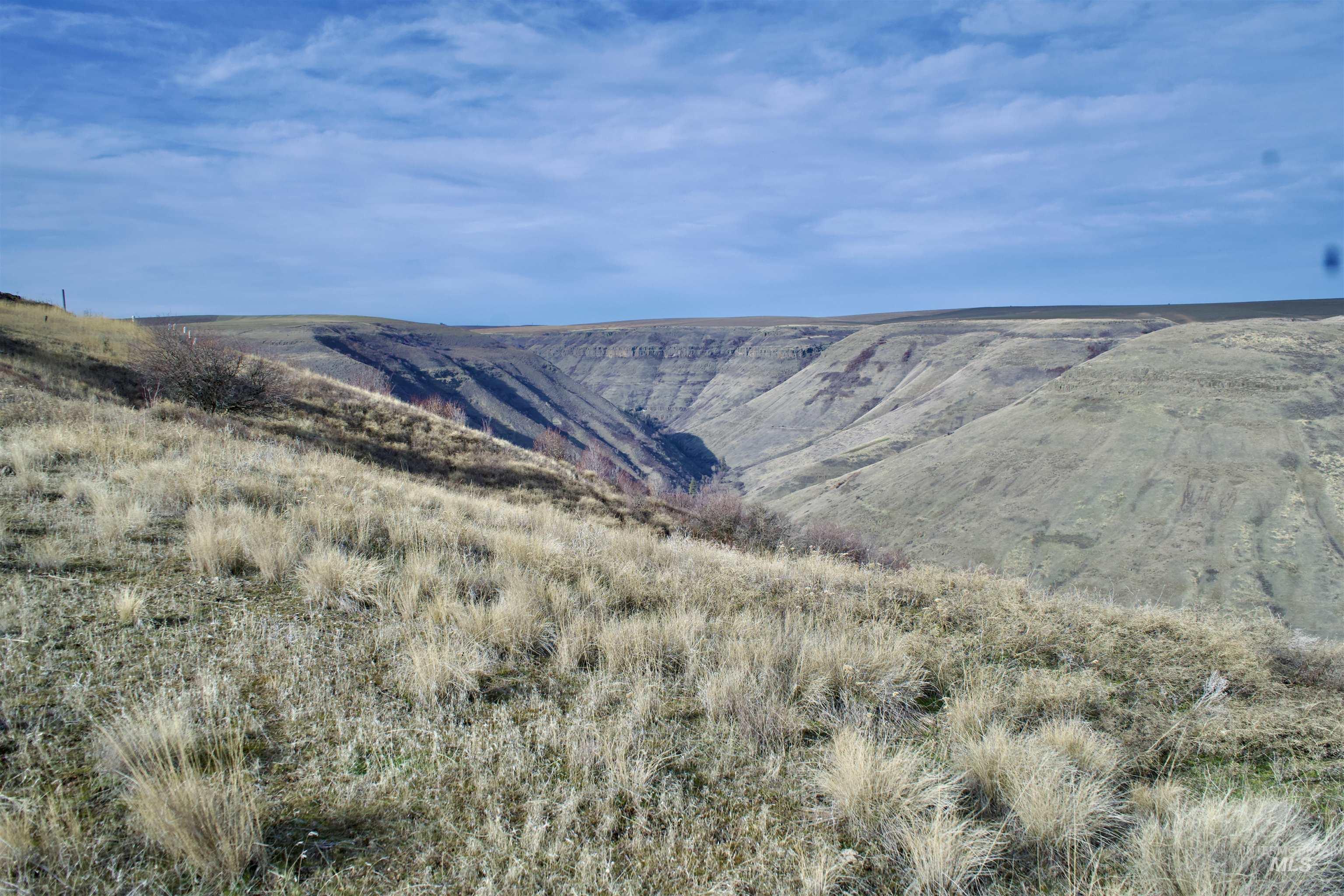 Tbd Spur Road Lewiston, ID 83501 - Photo 10 of 26 Mountain view