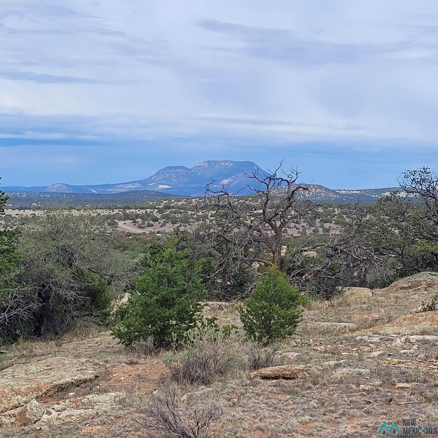 0 Lookout Loop, Unit 89 Datil, NM 87821 - Photo 38 of 38 Gallery Image 38