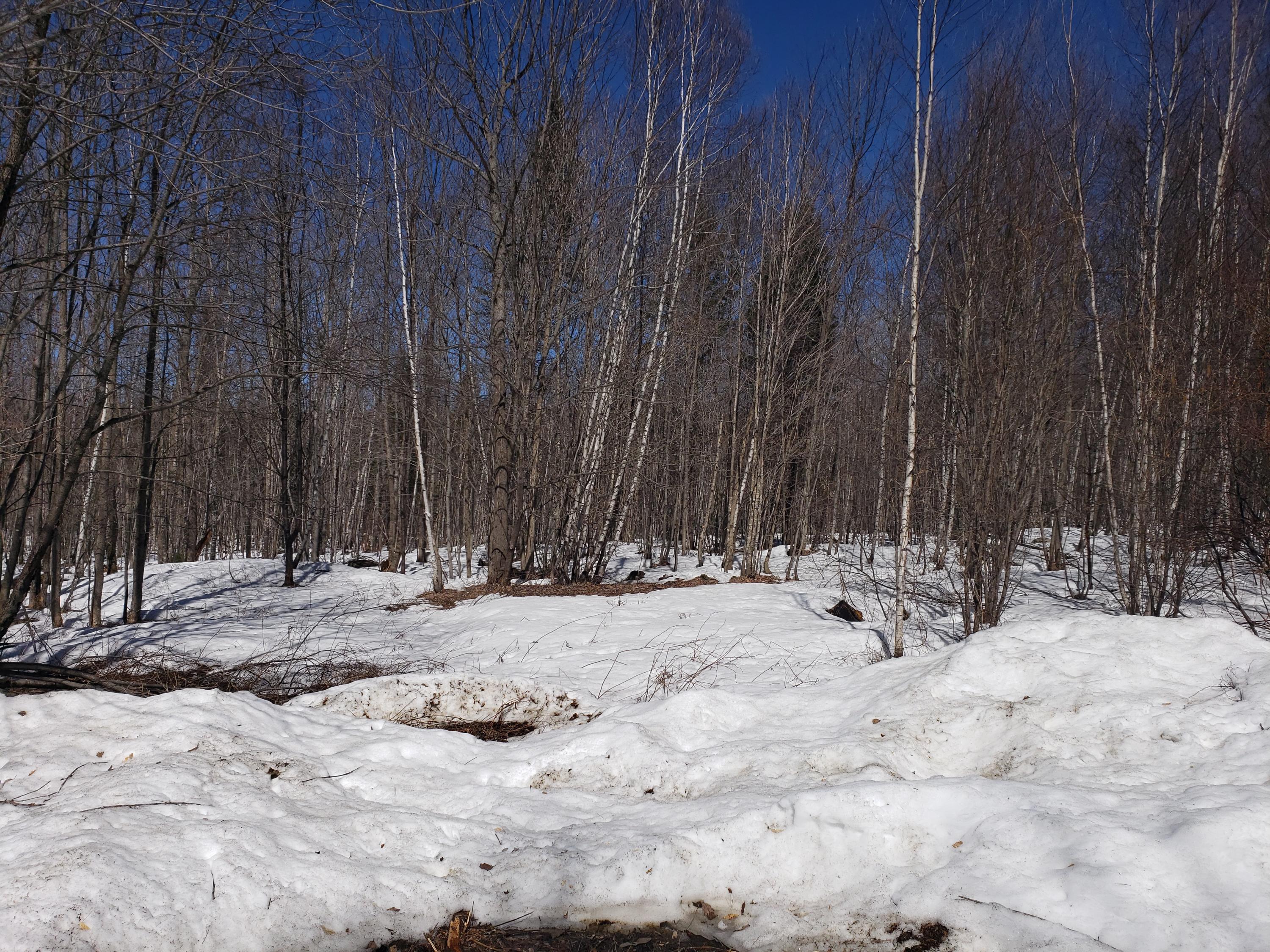 158 Music Road Farmington, ME 04938 - Photo 7 of 20 20190417_142537