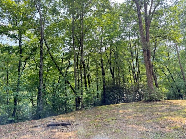 Lot 4 George Road Topton, NC 28781 - Photo 5 of 22 Gallery Image 5