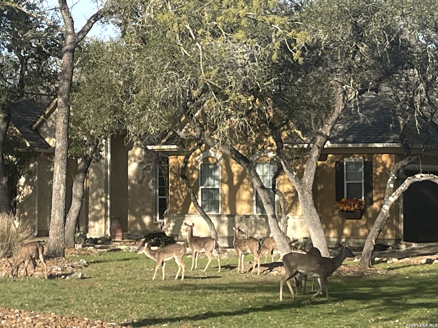 158 Lantana Cerro Spring Branch, TX 78070 - Photo 40 of 43