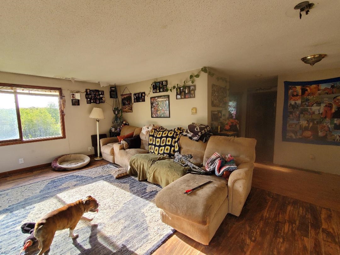 22033 Tustin Road Tustin, MI 49688 - Photo 6 of 17 1906017-5.JPG