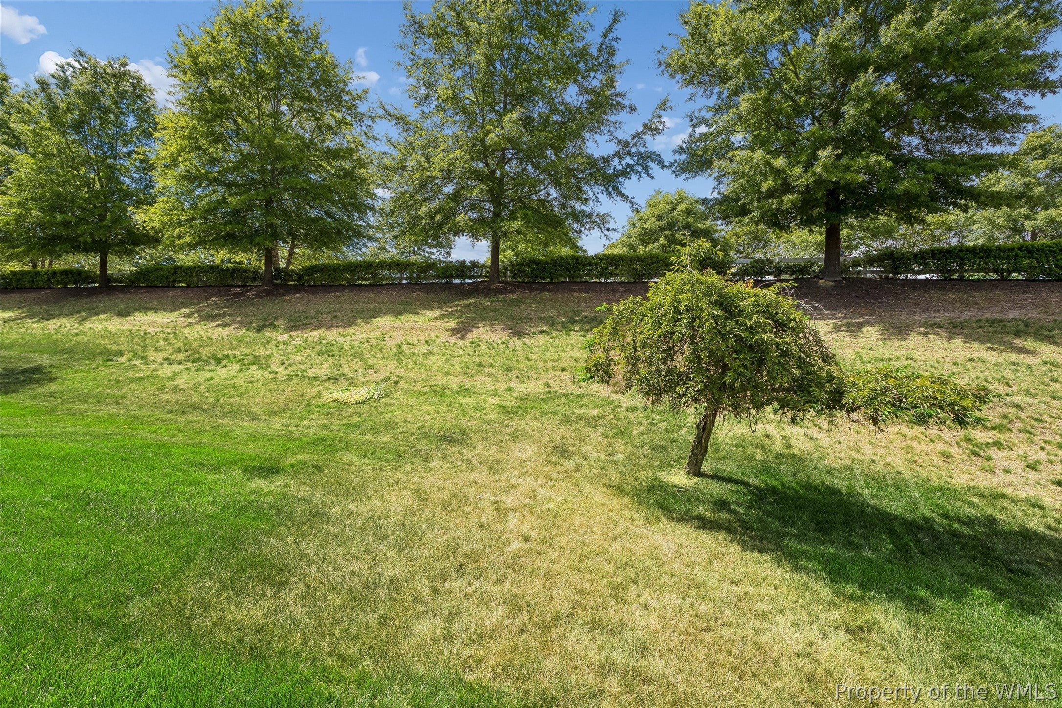 4232 Old Lock Road Williamsburg, VA 23188 - Photo 40 of 51 Gallery Image 40